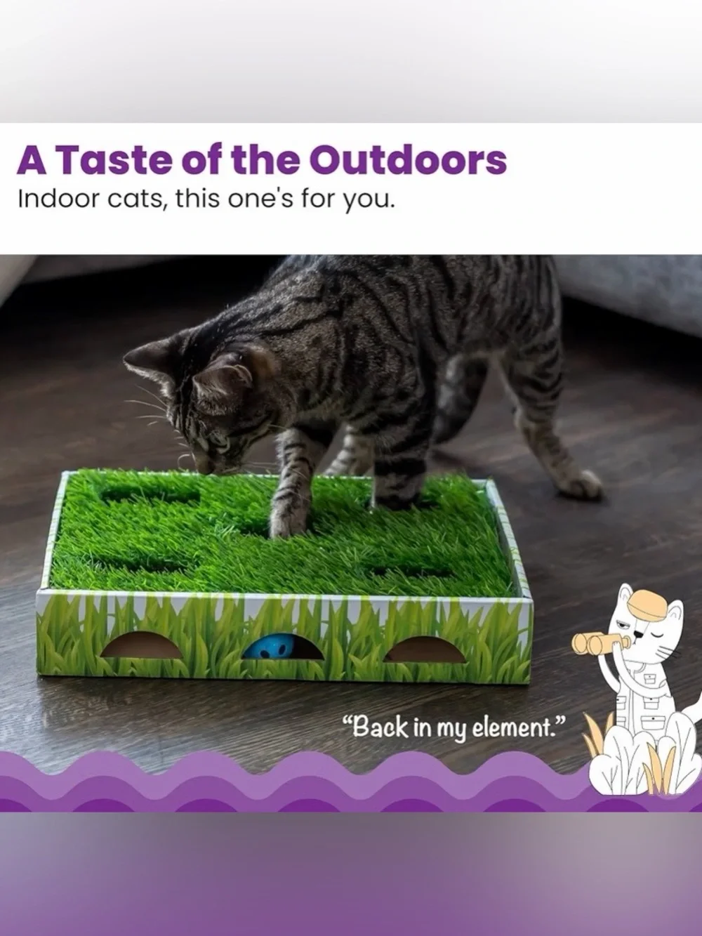 Lot for a lucky cat! Grass patch hunting box, scratcher bed, stuffed catnip toys